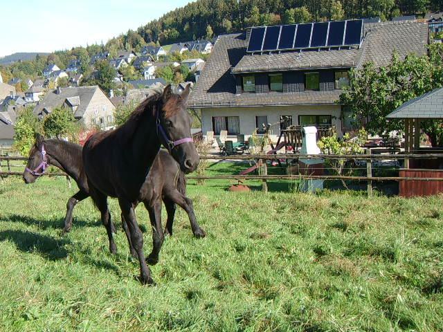 Haus Cristallo Olsberg Luaran gambar