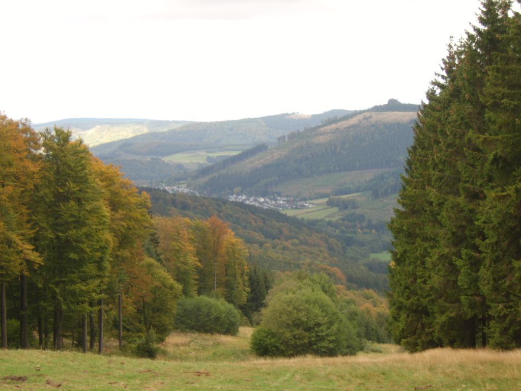 Haus Cristallo Olsberg Luaran gambar