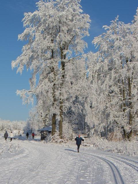 Haus Cristallo Olsberg Luaran gambar